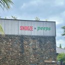 스누즈앤핍스(SNOOZE&PEEPS) | 제주 서귀포 맛집 4년 연속 미슐랭 더 플레이트를 받은 셰프가 재해석한 아시안 레스토랑 스누즈앤핍스