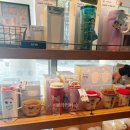 달달스토리 | 스타벅스 토이스토리 MD 후기｜6곳 돌았는데 키링만 없음…텀블러는 있음