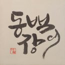 동백장어 이미지