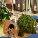 천일목장 | 25년 안녕! 26년아 잘부탁할게