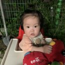 여주-0707 이미지