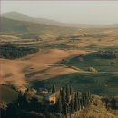 헤어리치 이미지