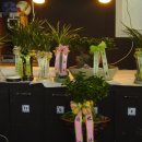 메트로카 이미지