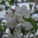 운장산 넘는길 이미지