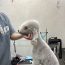 잇츠그루밍타임 이미지