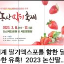 📣(행사예고) 23-3/8(수)논산 딸기축제 도진님 출연입니다~~ 이미지