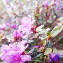 영어의 힘 앞 이미지