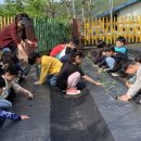 경기플라스틱 이미지