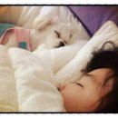 신촌동물병원 이미지