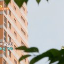 홍시집 막내아들