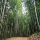 승일축산 | 담양 한우떡갈비 맛집 남도예담