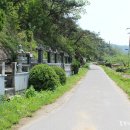 평광초등학교 이미지