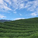 휘게스테이 이미지