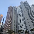 위례초등학교 | 구 둔촌주공, 현 올파포 임장 후기