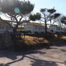 비비오토캠프 이미지