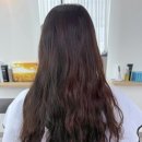 쉐어에비뉴 105호