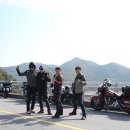 청남대 진입로 이미지