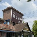 일산원당건강생활 | [고양] 일산교자 내돈내산 솔직 후기 고양맛집 원당 일산교자 원당 맛집