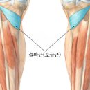신주례태권도 체육관 이미지