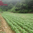 단양군어상천면보건지소 이미지