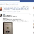 뉴스피드 이미지