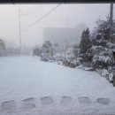 춘하추동 추어탕 이미지