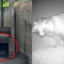 수문통로 이미지