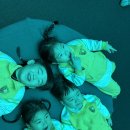 12월 4일 대전 아쿠아리움 견학 🐟🐡🐢 이미지