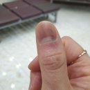 운남피부과의원 | 운남피부과의원/광주 광산구 운남동/위치