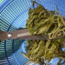 칡캐는오미자농부 이미지