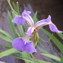 고령예마을 이미지