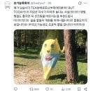 퇴사하곳싶다이직제발샤갈아 이미지