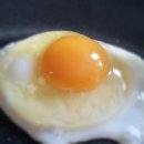 새싹의 아침 이미지