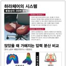 드판 | 하라체어 사용후기