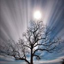 주식회사 오거 이미지