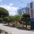 추풍령할매갈비 이미지