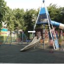 초원대림 이미지