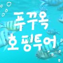 동래카월드 | 호핑투어 가격 : 남부 스노클링 강추 내돈내산 존스투어 일정 혼똔섬 케이블카 포함 (선상파티 비추 이유)