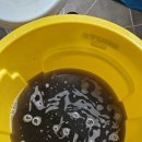 샤론팰리스 이미지