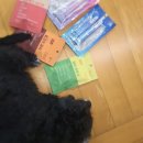 워킹페코 이미지