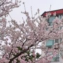 성모솔정신건강의학과의원 이미지