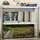 반찬대통령 | 춘천 삼천동맛집 구정막국수 춘천점 대통령 오찬 맛집 솔직후기