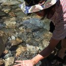 물빛정원펜션 이미지