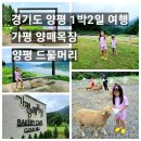 호동목장 이미지