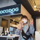 코코독(cocodog) 이미지