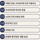 무릎이 뻣뻣하고 아파요~⧫퇴행성 관절염⧫