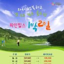 골프엠 Daum카페