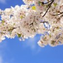 눈부신날에 이미지