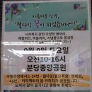 수정중앙노인종합복지관 이미지