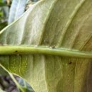 어질농장 이미지